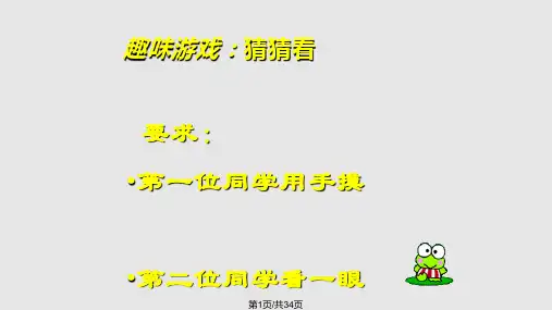 眼与视觉教学PPT课件