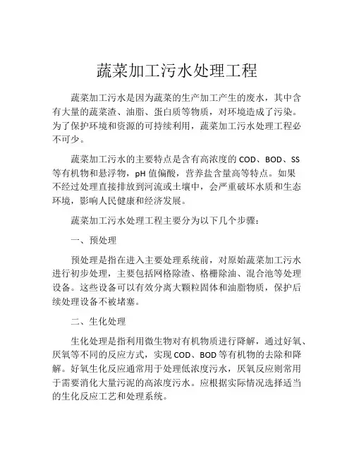 蔬菜加工污水处理工程