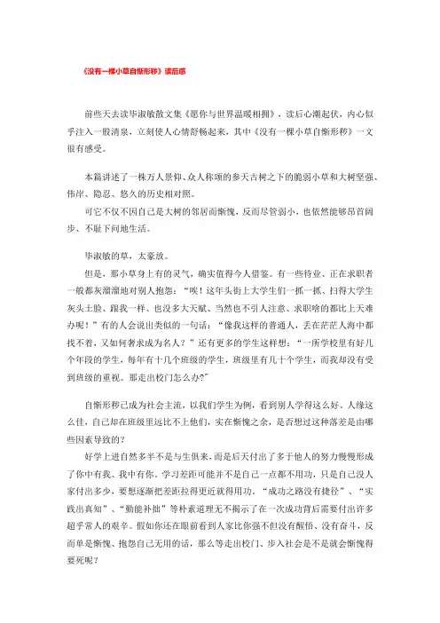 《没有一棵小草自惭形秽》读后感