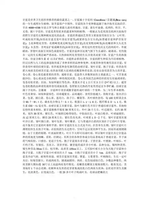 甘蓝的药用价值和营养价值