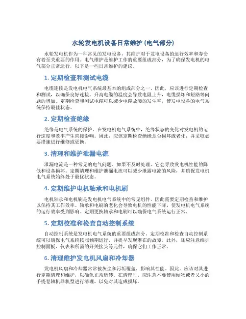 水轮发电机设备日常维护(电气部分)..