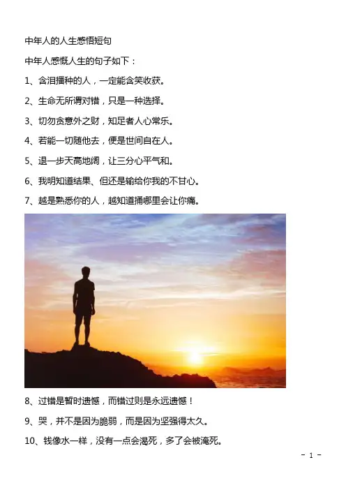 中年人的人生感悟短句