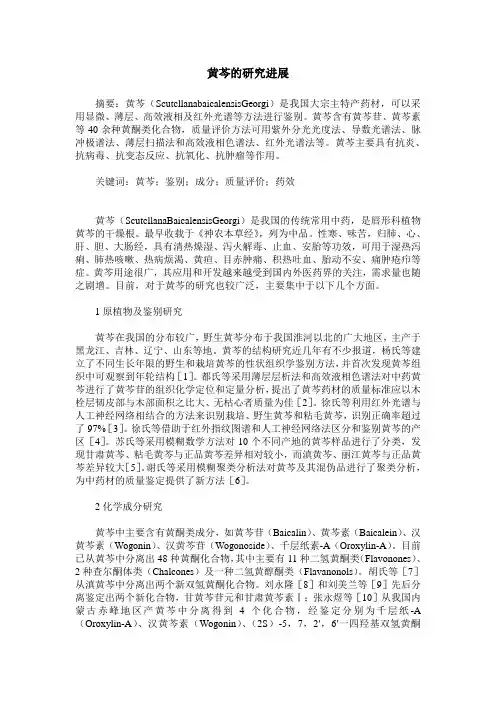 黄芩的研究进展