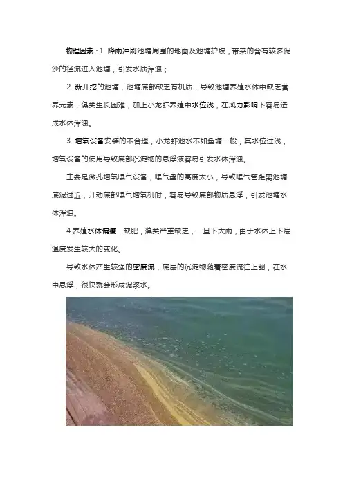 养鱼水浑浊怎么办