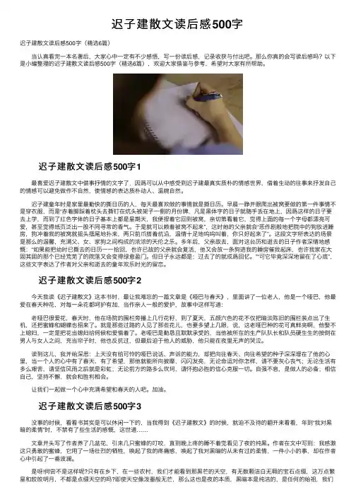 迟子建散文读后感500字