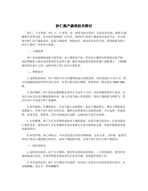 砂仁高产栽培技术探讨