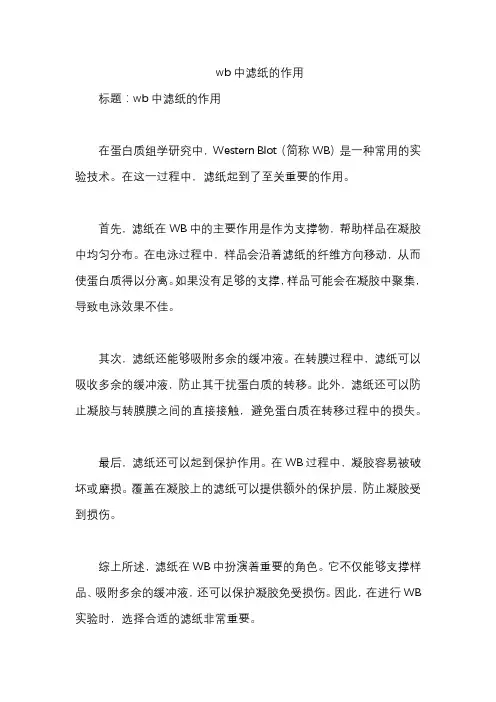 wb中滤纸的作用