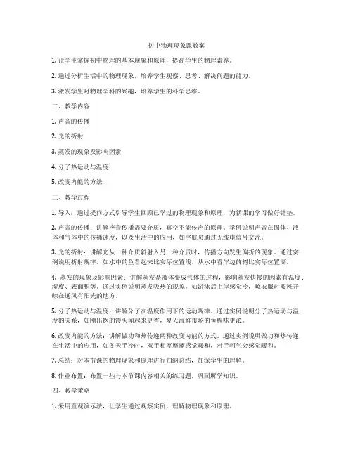 初中物理现象课教案