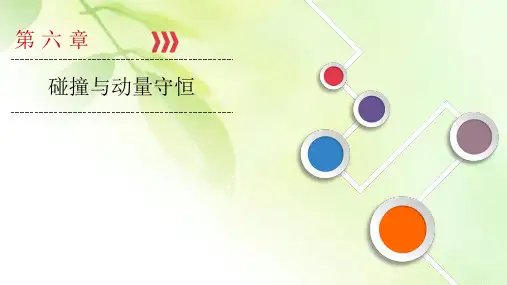 2021高考物理课标全国版一轮课件：第6章 第1讲 动量 冲量 动量定理