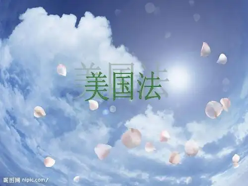 美国法