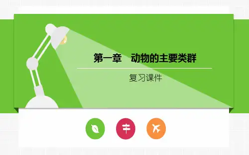 人教版八年级生物上册第五单元第一章《动物的主要类群》复习课件1共83张PPT