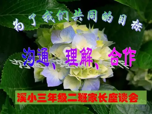 三年级二班家长会