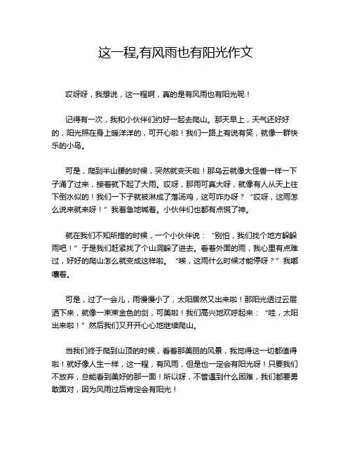 这一程,有风雨也有阳光作文