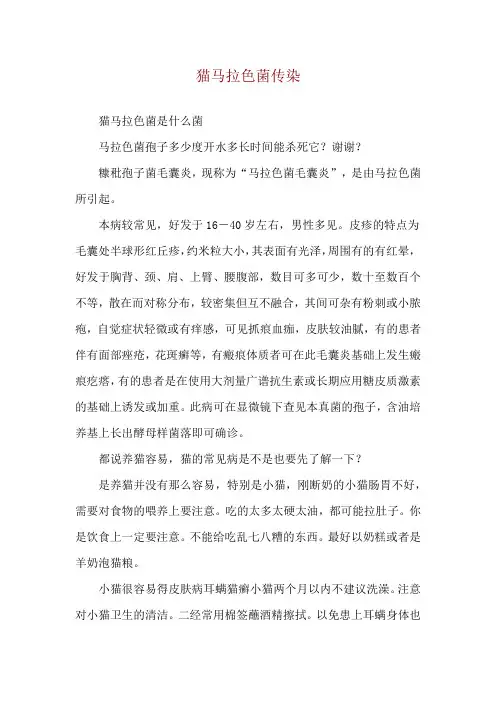 猫马拉色菌传染