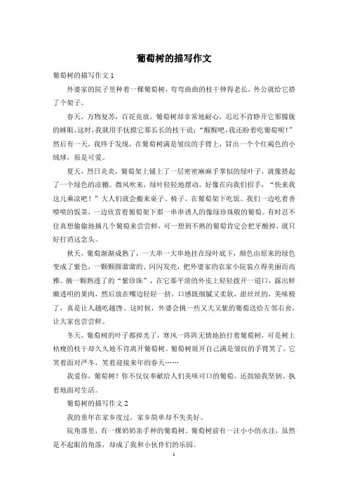 葡萄树的描写作文