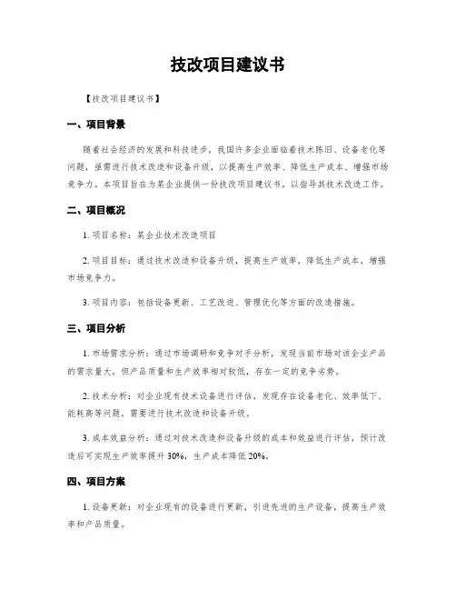 技改项目建议书