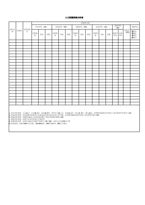 人力资源质量分析表