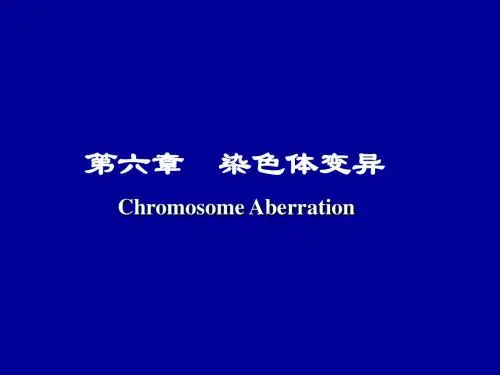 遗传学-第六章(1)