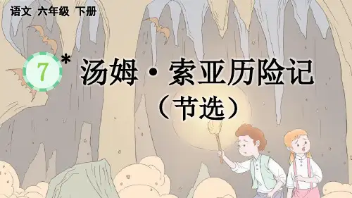 统编版六年级下册语文《 汤姆·索亚历险记(节选)》【精华版】PPT课件(完整版)