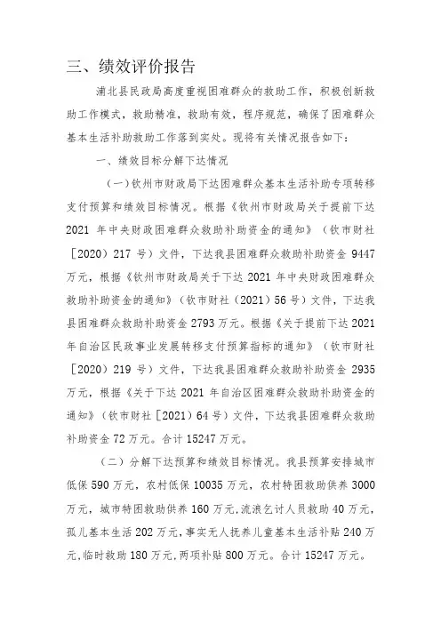 绩效评价报告