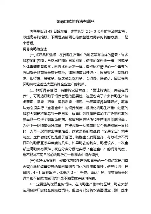 饲养肉鸭的方法有哪些