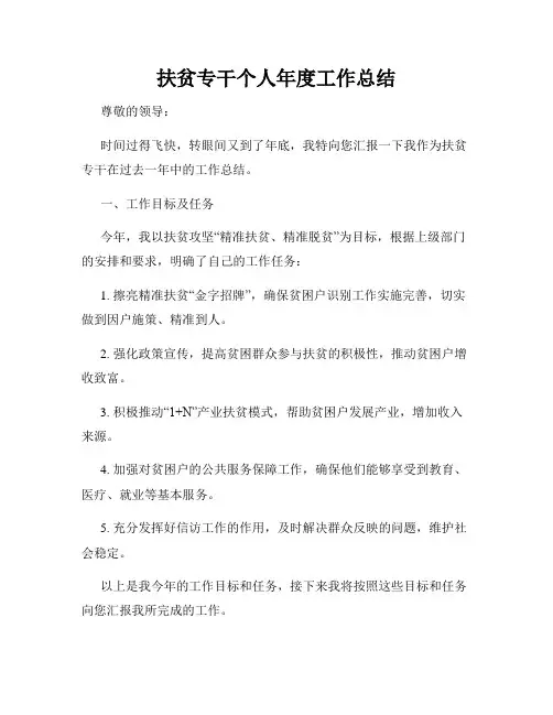 扶贫专干个人年度工作总结