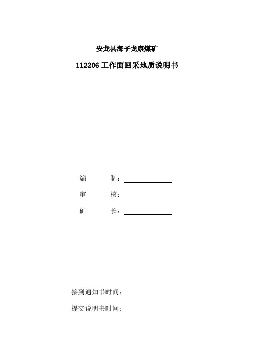 112206工作面回采地质说明书