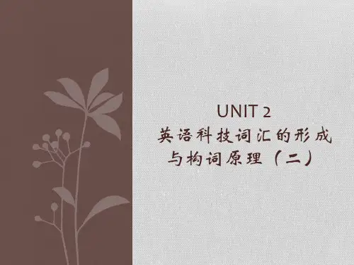 英语科技词汇的形成与构词原理
