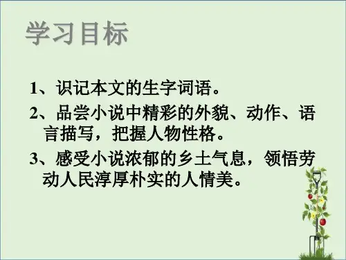 6-蒲柳人家课件解析