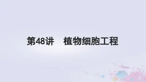 高考生物一轮总复习选择性必修3第十单元生物技术与工程第48讲植物细胞工程