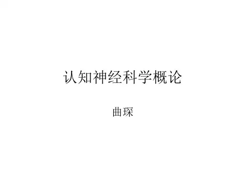 认知神经科学概论.ppt