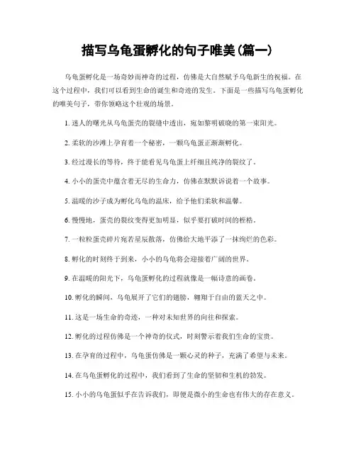 描写乌龟蛋孵化的句子唯美(精选合集2篇)