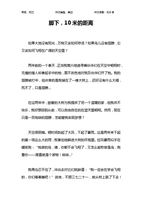 脚下,10米的距离作文【初中初三800字】