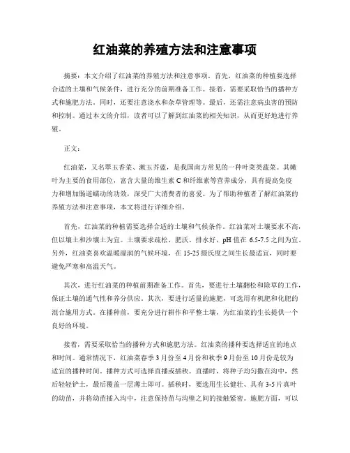 红油菜的养殖方法和注意事项