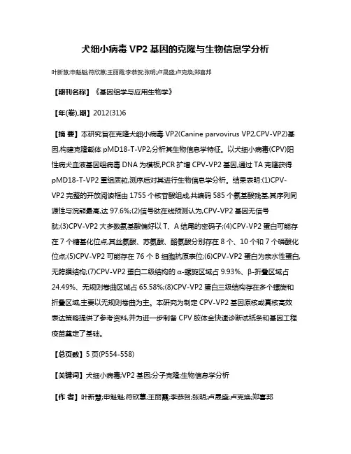 犬细小病毒VP2基因的克隆与生物信息学分析