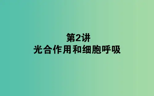 高考生物二轮复习 专题二 细胞的代谢 第2讲 光合作用和细胞呼吸课件