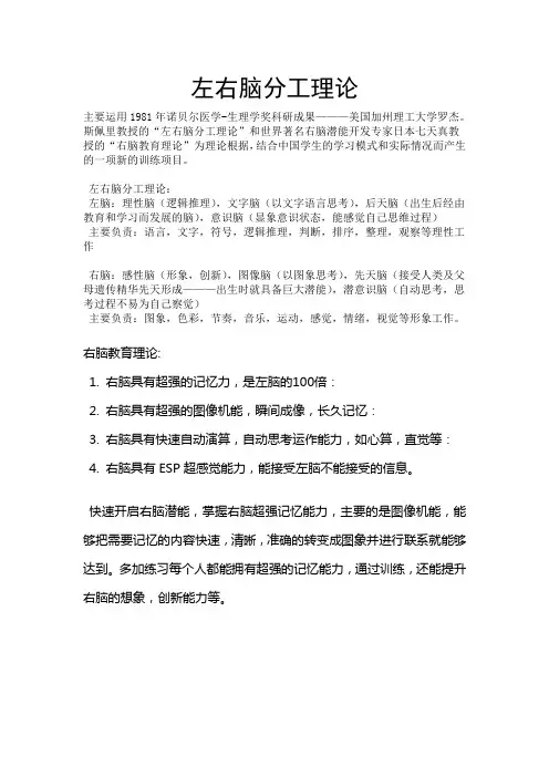 左右脑分工原理-世纪雅途
