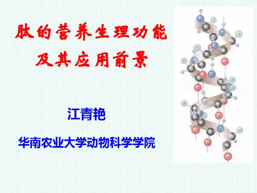 肽的营养生理功能(江青艳)