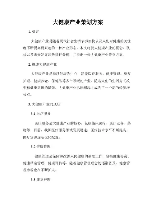 大健康产业策划方案