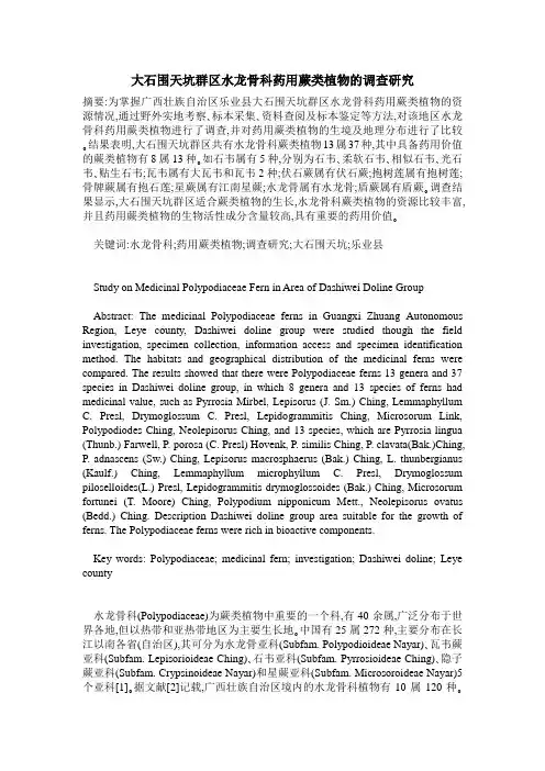 大石围天坑群区水龙骨科药用蕨类植物的调查研究