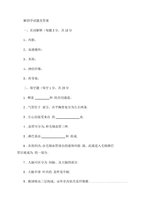 解剖学试题及答案汇总