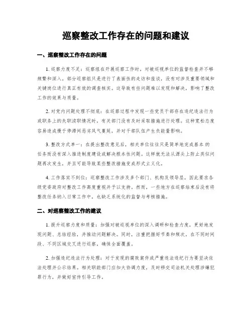巡察整改工作存在的问题和建议