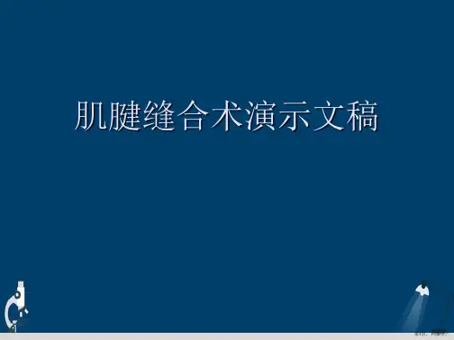 肌腱缝合术演示文稿