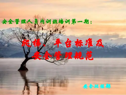 爬梯平台标准及安全管理规范教材