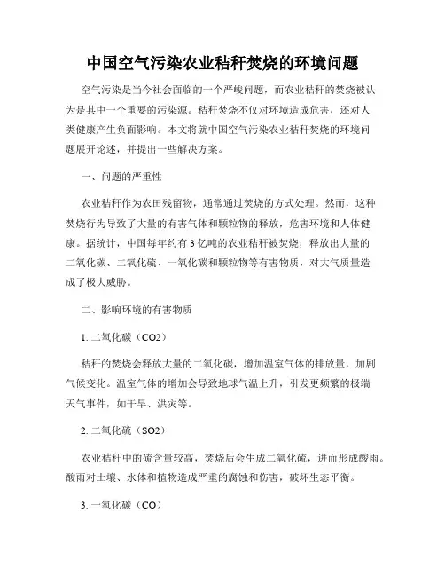 中国空气污染农业秸秆焚烧的环境问题