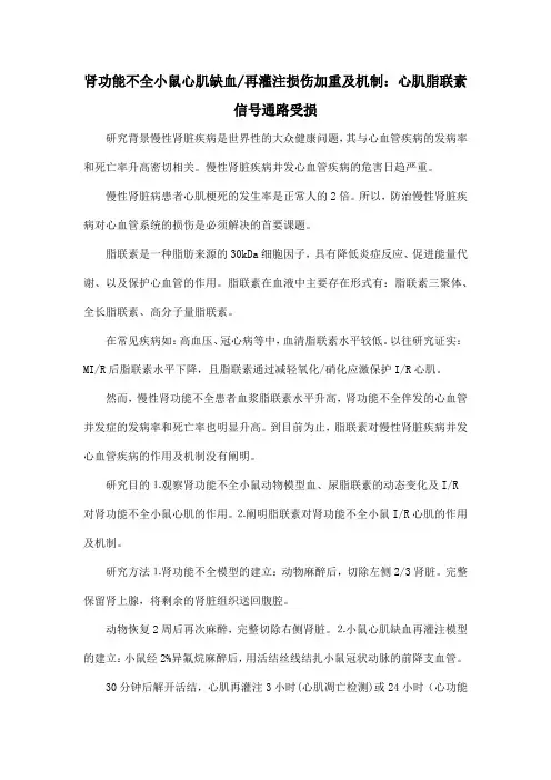 肾功能不全小鼠心肌缺血再灌注损伤加重及机制：心肌脂联素信号通路受损