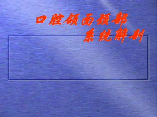 第一节 骨