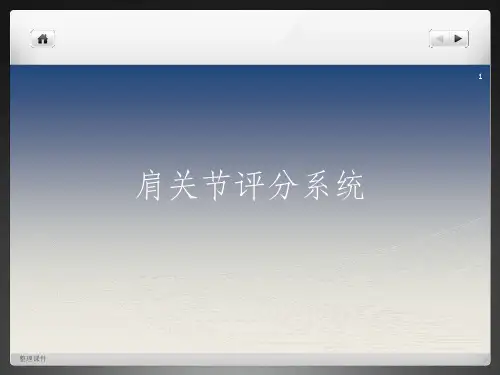 肩关节评分综述