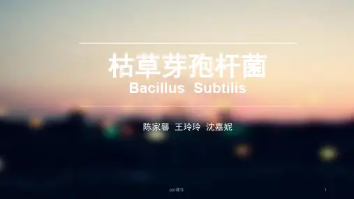 枯草芽孢杆菌  ppt课件