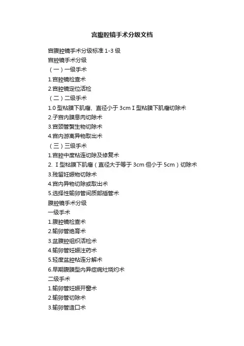 宫腹腔镜手术分级文档